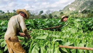Cosa vedere a Pinar del Río Cuba