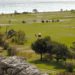 Fare Sport a Rodi