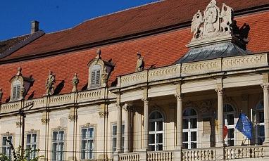 muzeul-national-de-arta-cluj-napoca-napocanews-otilia-chis.jpg