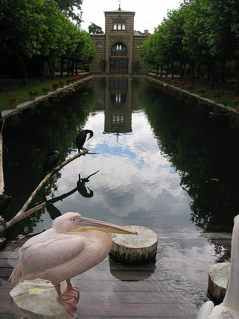Zoo Stoccarda